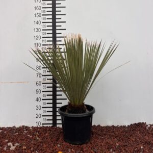 30336270 f954 48ee 9fa2 556d07f01888 e1769772208768