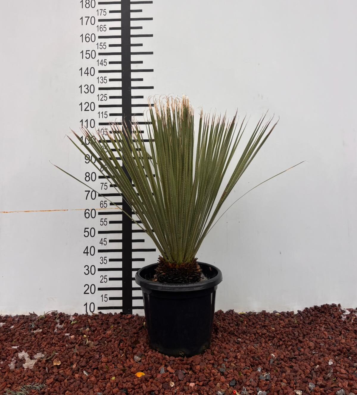 30336270-f954-48ee-9fa2-556d07f01888 30336270 f954 48ee 9fa2 556d07f01888 e1769772208768