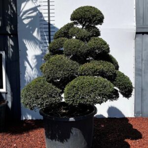 813d6798 442f 48da bf2a 17af9fbe08fd