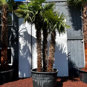 ba22cb27 9a9c 4f4c 8e32 4d4e04c49c2b scaled e1769784099595