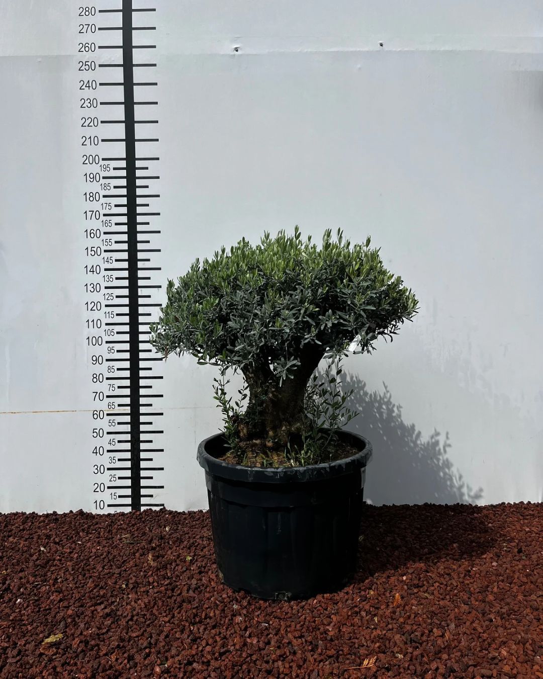 d40c3331-63c6-44eb-ad6f-93772fe823a6 d40c3331 63c6 44eb ad6f 93772fe823a6